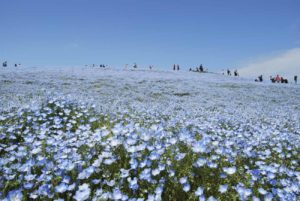 【写真で旅行】ゴールデンウィークは、家にいながら旅行気分 −Part1−
