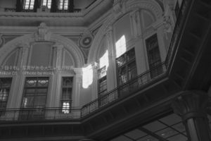 【モノクロ写真】東京駅でモノクロ撮影♫