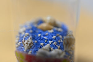 【家で撮る写真】家に幸せを呼んでくれる星の砂