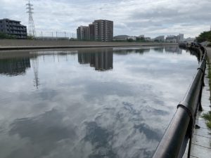【お散歩スナップ】息抜き散歩のついでに写真を撮っちゃおう!