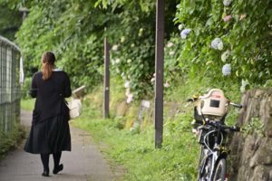 どこまでも続くアジサイロード