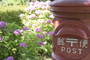 いろいろな紫陽花を撮ろう