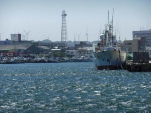 さざ波たった銚子の港