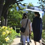 梅雨の晴れ間に親子でお散歩