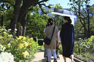 梅雨の晴れ間に親子でお散歩
