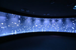 【水族館撮影】サンシャイン水族館の新クラゲゾーン!