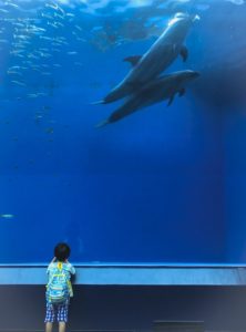 過去の写真を再編集!!