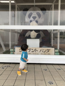【iPhoneで子供を撮ろう】パンダが大好き!!