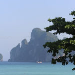 夏だから、南国の雰囲気を楽しもう！！