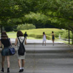 【お散歩写真】猛暑に負けるな！！