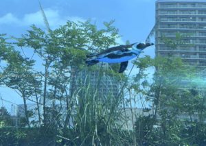 さぁ夏休み、思う存に分遊びたい!!