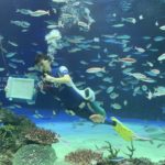 水族館のコロナ対策は・・「アクリル清掃」