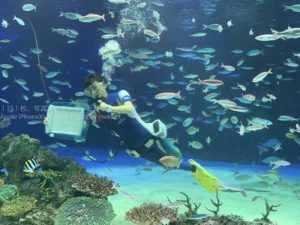 水族館のコロナ対策は・・「アクリル清掃」