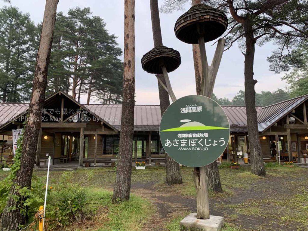 夏休みの思い出を写真に残そう！！