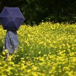 秋の足音はいつの間にか過ぎ去っていく!?