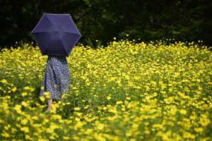 秋の足音はいつの間にか過ぎ去っていく！？