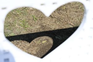 【公園スナップ写真】二人の愛ランド