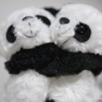 【家で撮る写真】パンダのぬいぐるみを撮ろう!