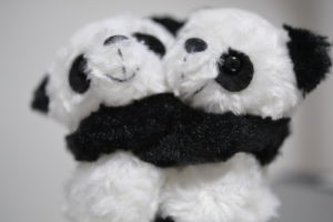 【家で撮る写真】パンダのぬいぐるみを撮ろう!
