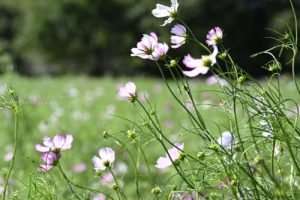 【公園スナップ写真】秋を全身で感じよう！！