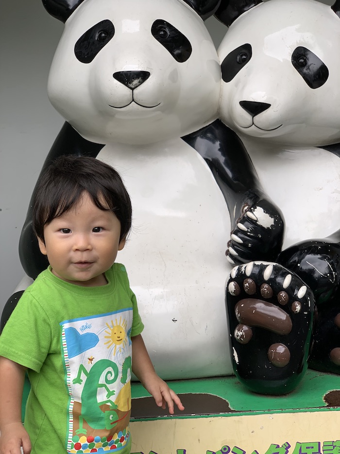 【子供写真】パンダがアイドル