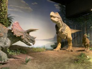 【iPhone写真】「子供の好き」を伸ばしてあげたい!