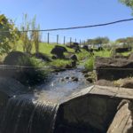 【iPhoneスナップ撮影】秋晴れの公園をiPhoneで撮ろう！