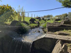 【iPhoneスナップ撮影】秋晴れの公園をiPhoneで撮ろう!