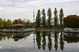 【公園スナップ撮影】近所の公園をドラマティックに！！