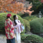 【公園スナップ撮影】新宿御苑で紅葉を満喫