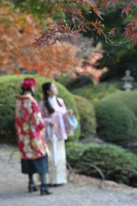 【公園スナップ撮影】新宿御苑で紅葉を満喫