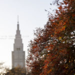 【公園スナップ撮影】西日に輝く紅葉とドコモタワー