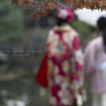 【公園スナップ撮影】最後の紅葉を楽しもう