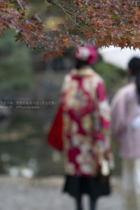 【公園スナップ撮影】最後の紅葉を楽しもう