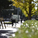 【スナップ撮影】新宿の街をぶらり、スナップ撮影