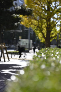 【スナップ撮影】新宿の街をぶらり、スナップ撮影