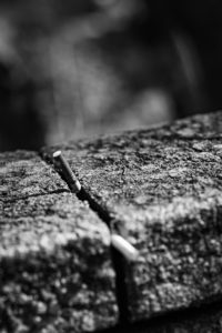 【スナップ撮影】散歩しながら町中を切り撮る