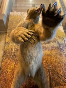 【iPhone写真】iPhoneで動物たちを撮ってみよう！！