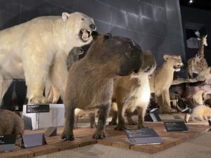 【iPhone写真】すごいぞiPhoneのナイトモード！