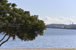 冬の日差しポカポカ