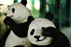 【スナップ撮影】上野じゃなくて・・御徒町のパンダ！？