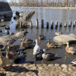 【iPhone写真】公園内をiPhoneを持って散歩してみた