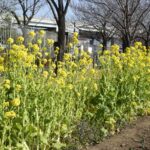 【スナップ撮影】公園で春を先取り!!