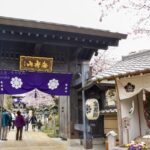 桜を堪能しよう