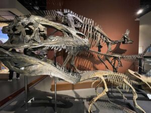 恐竜の化石を通じて「古代ロマン」を感じよう！