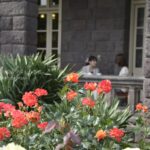 【スナップ撮影】バラを見ながら午後の紅茶を。