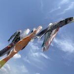 大空を泳ぐ「鯉のぼり」