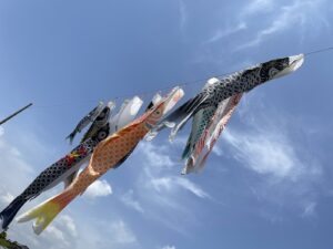 大空を泳ぐ「鯉のぼり」