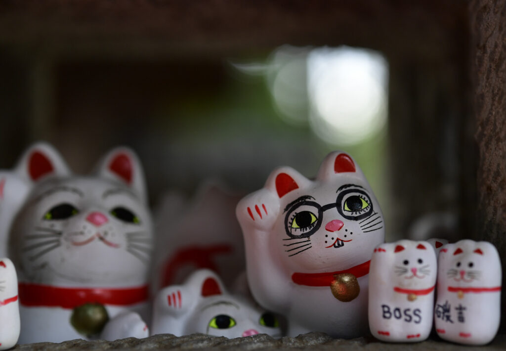 フォトブックを作ってみた！！ -1st フォトブック-