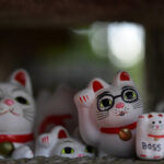 フォトブックを作ってみた!! -1st フォトブック-